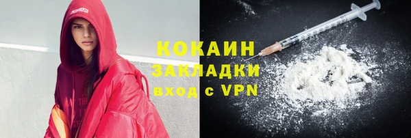 дмт Лиски