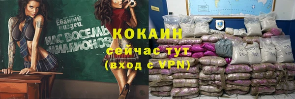дмт Лиски