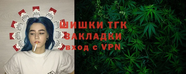 дмт Лиски